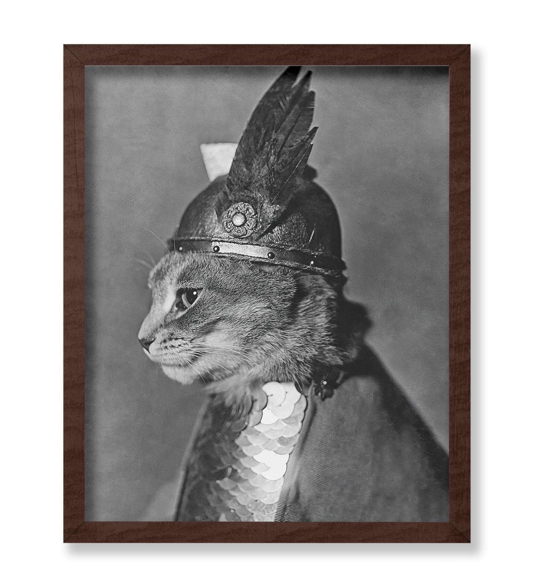 Brunnhilde The Cat