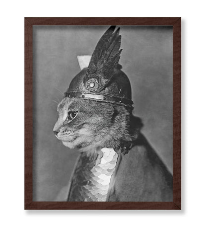 Brunnhilde The Cat