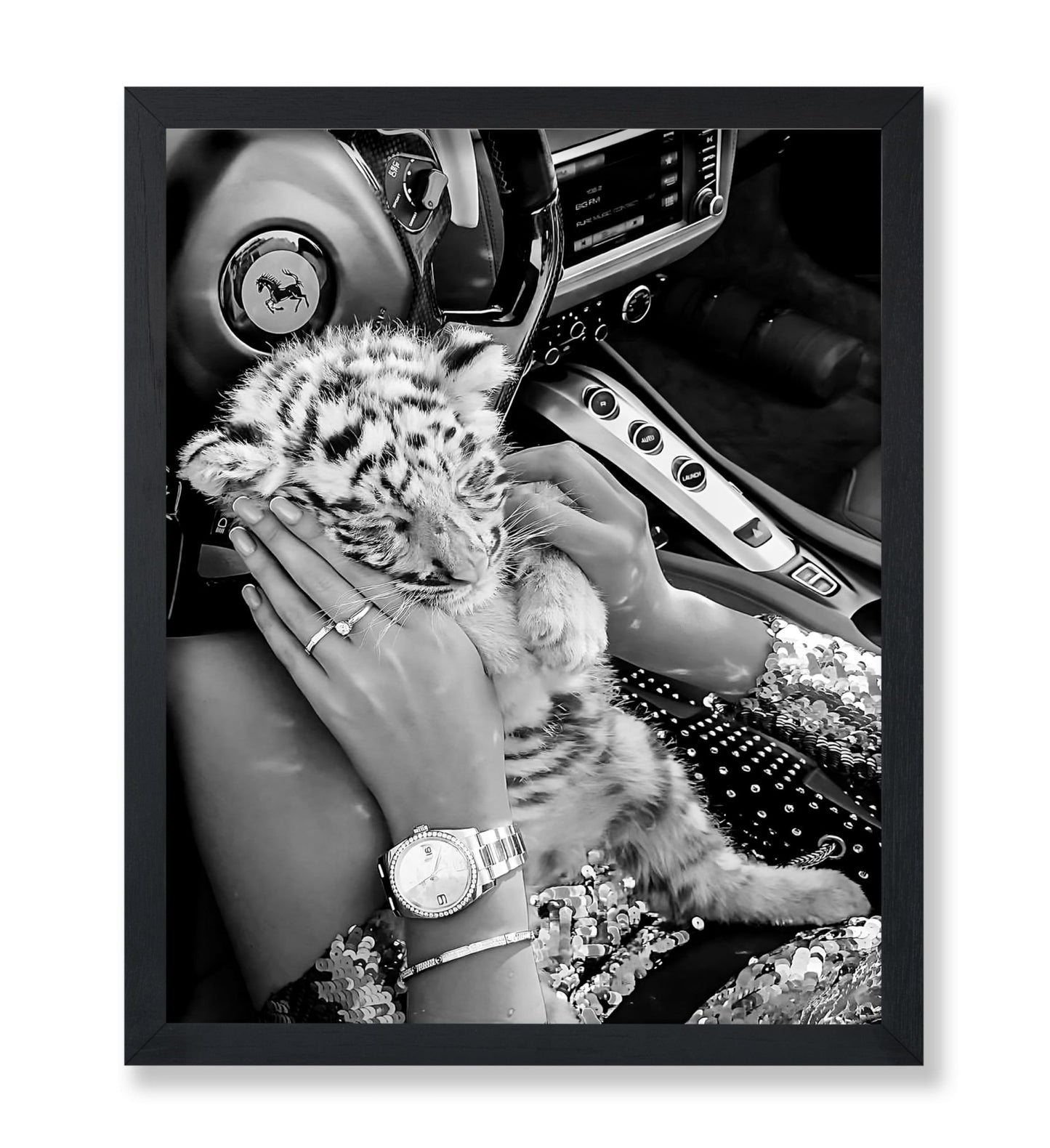 Baby Tiger in Car