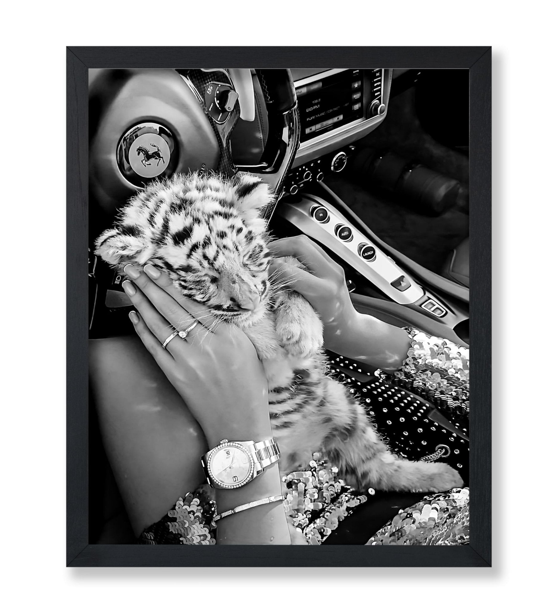 Baby Tiger in Car
