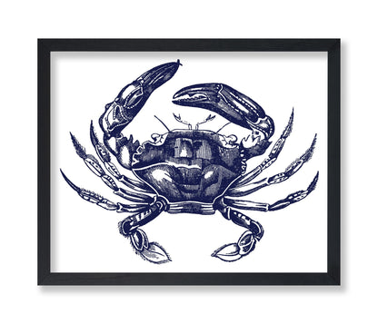 Navy Blue Crab