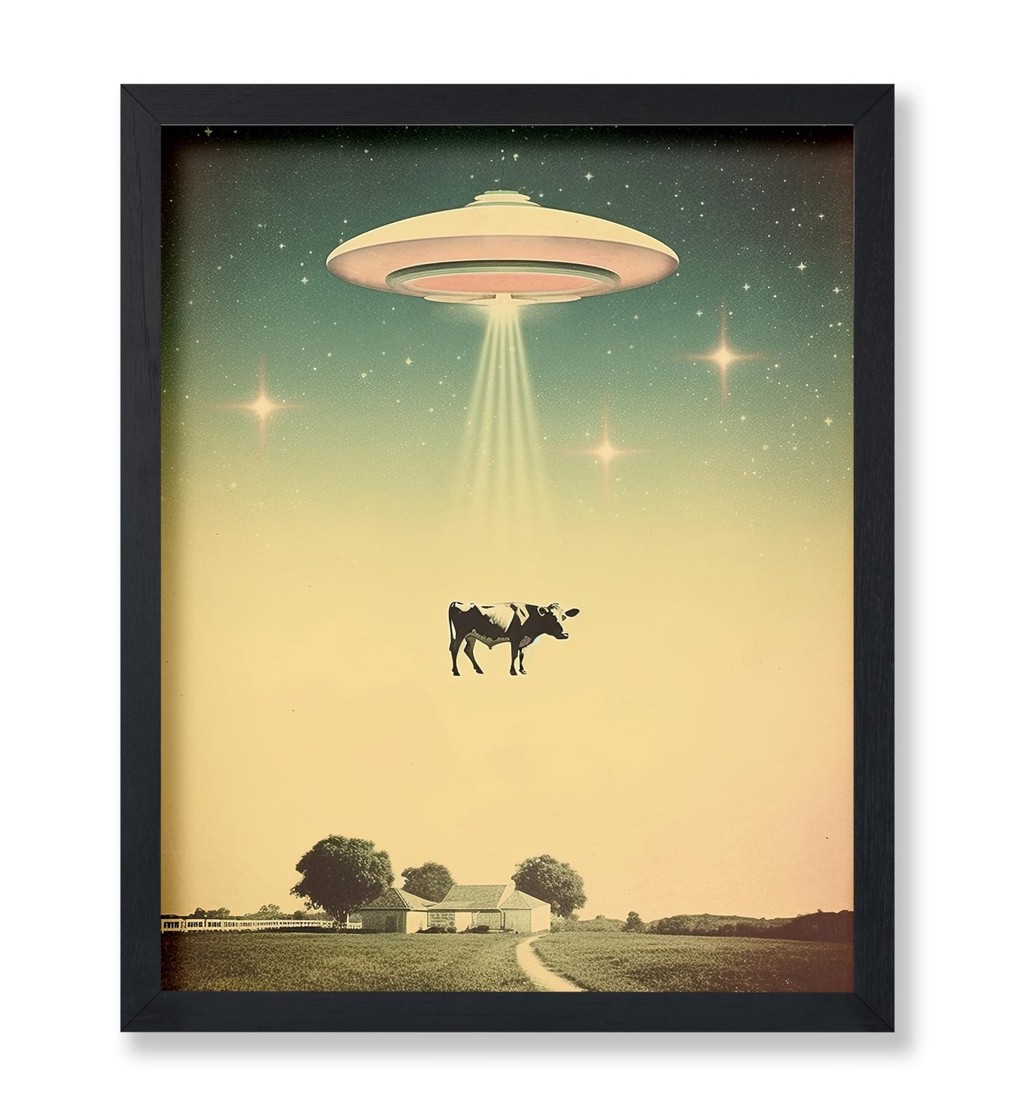 UFO Cow Abduction