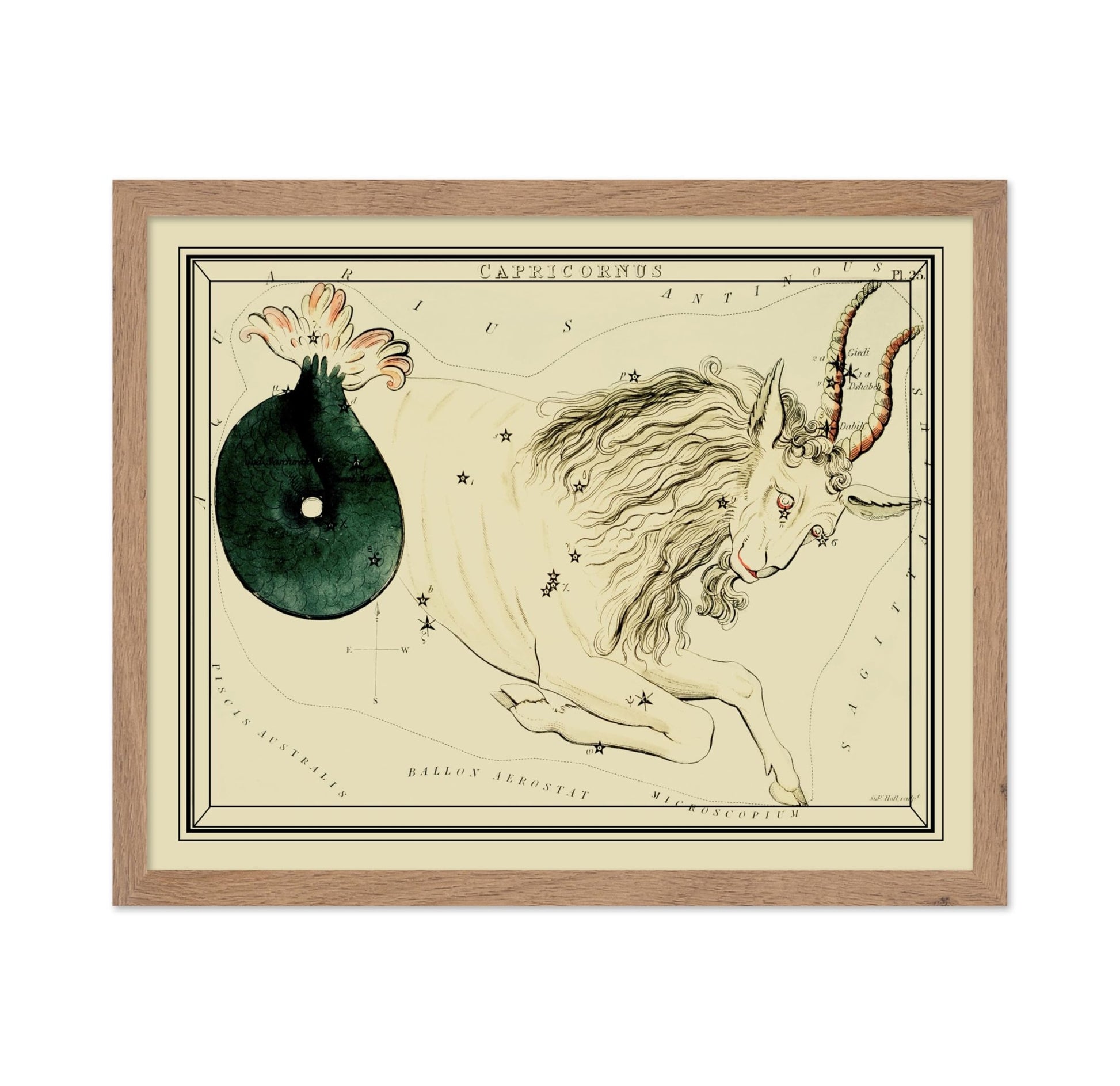 Urania's Mirror Capricornus