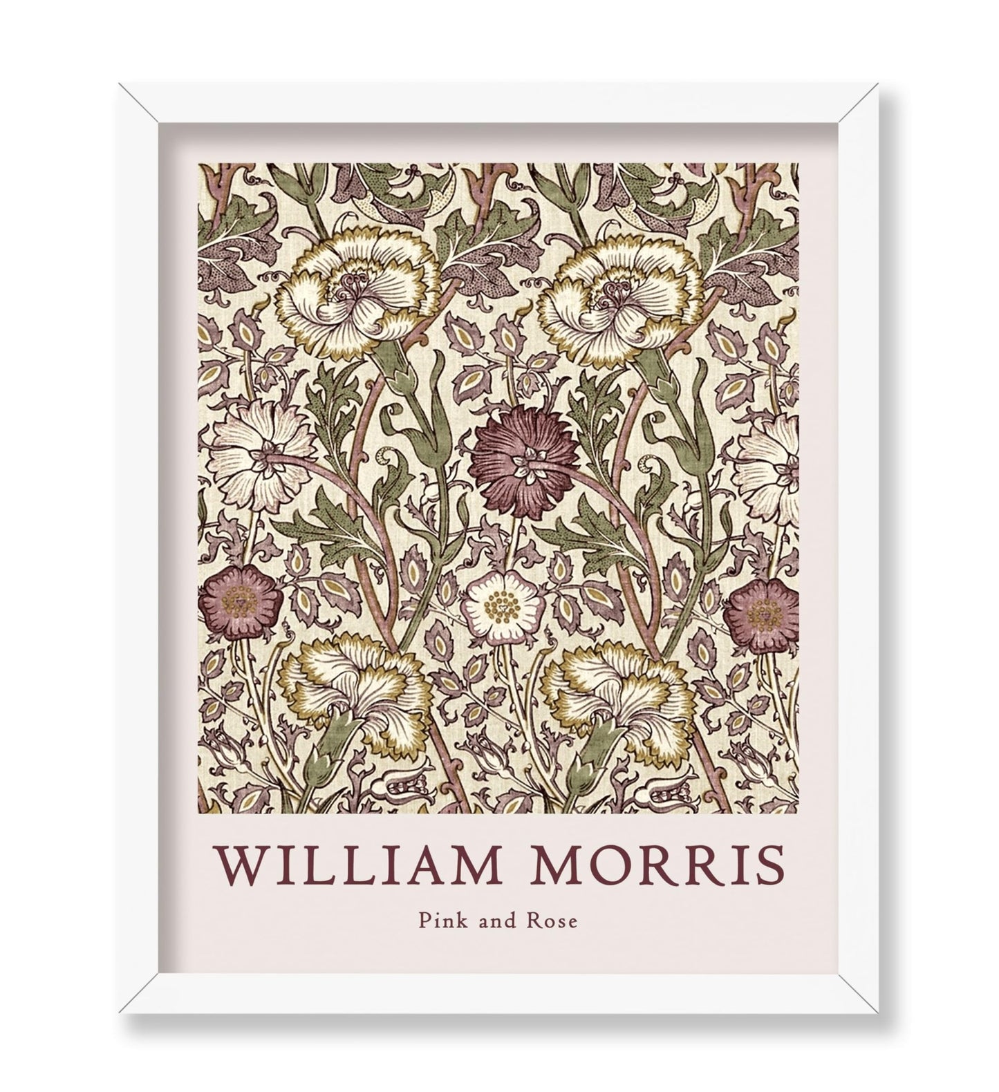 William Morris - Rose No5