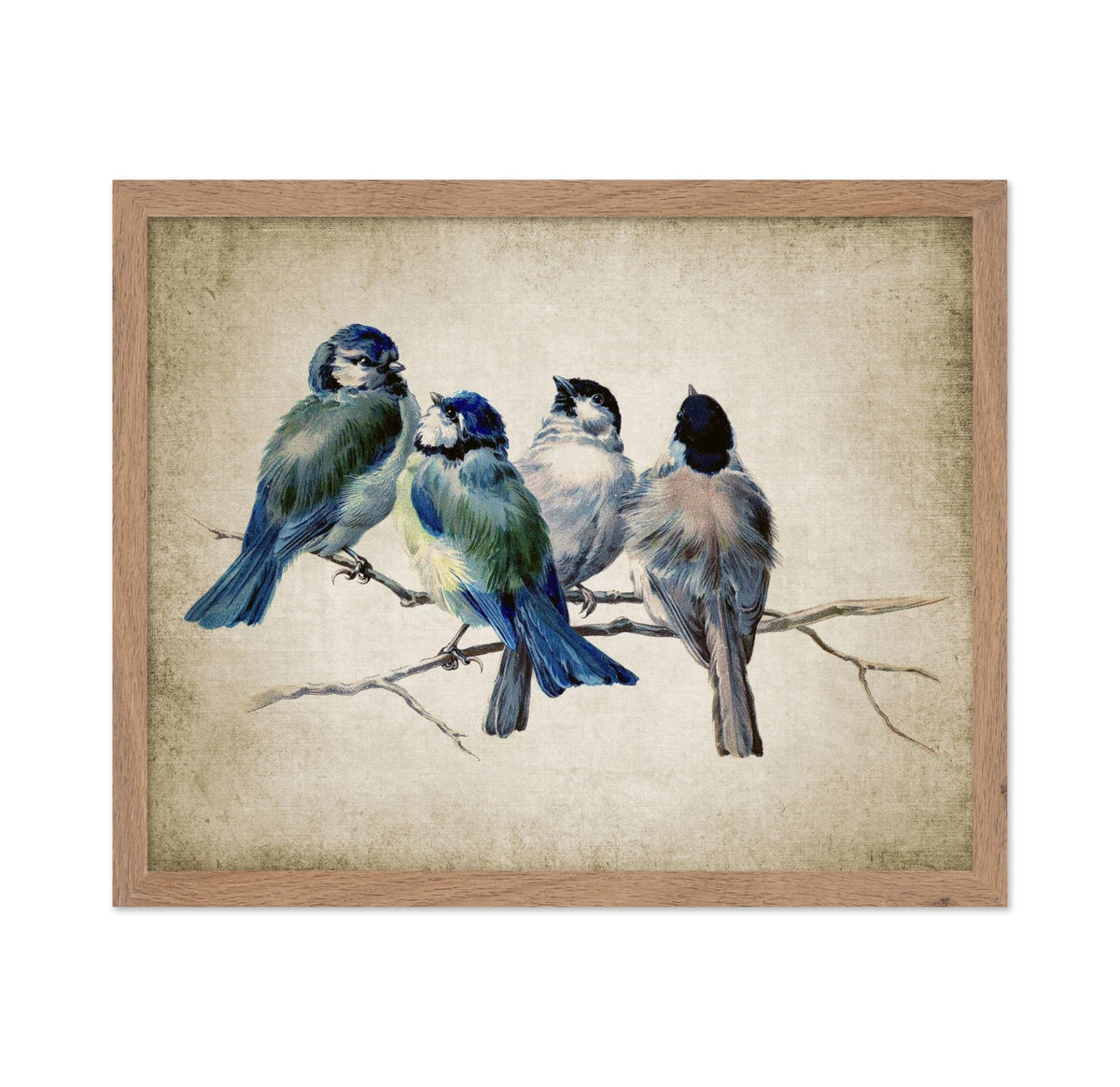 Blue Birds