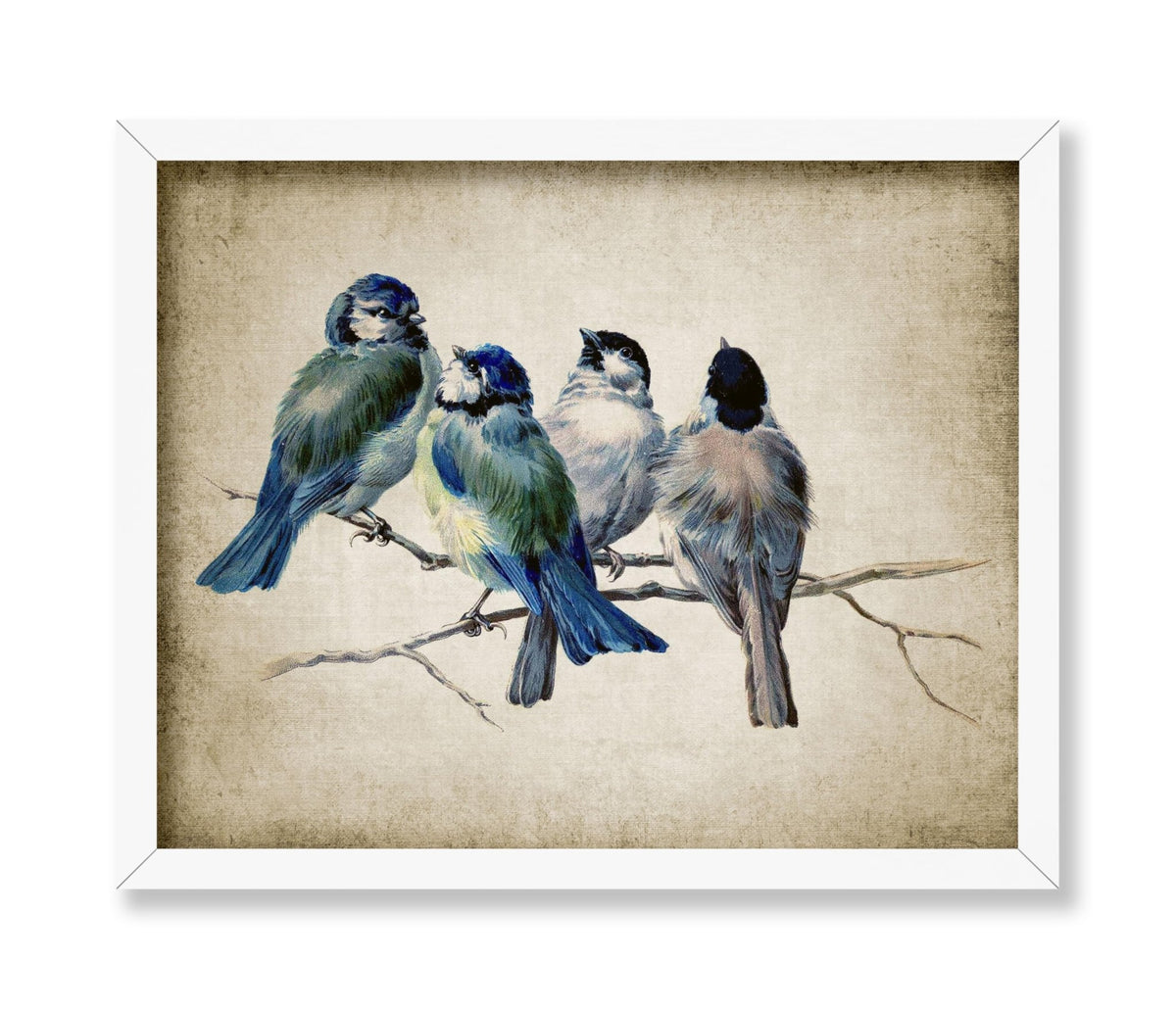 Blue Birds