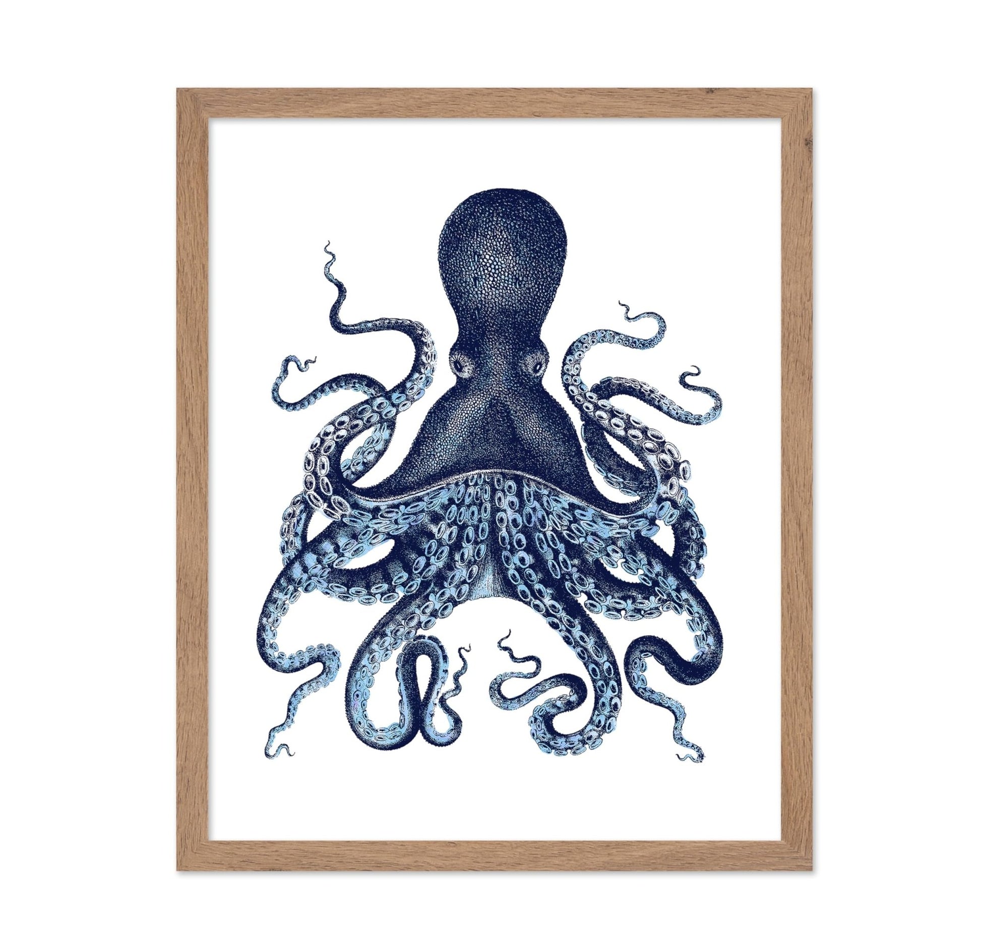 Aquatic Octopus