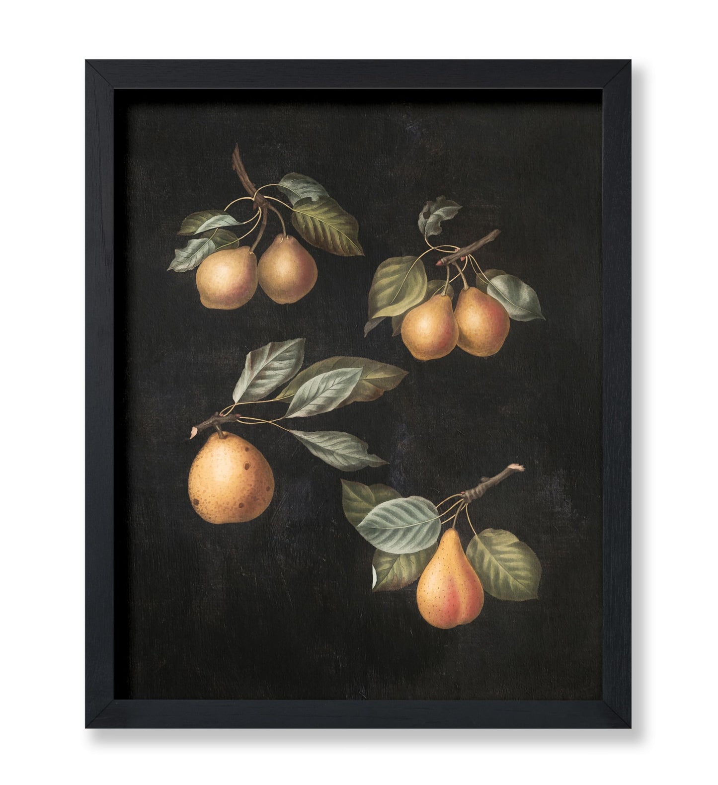 George Brookshaw - Pears