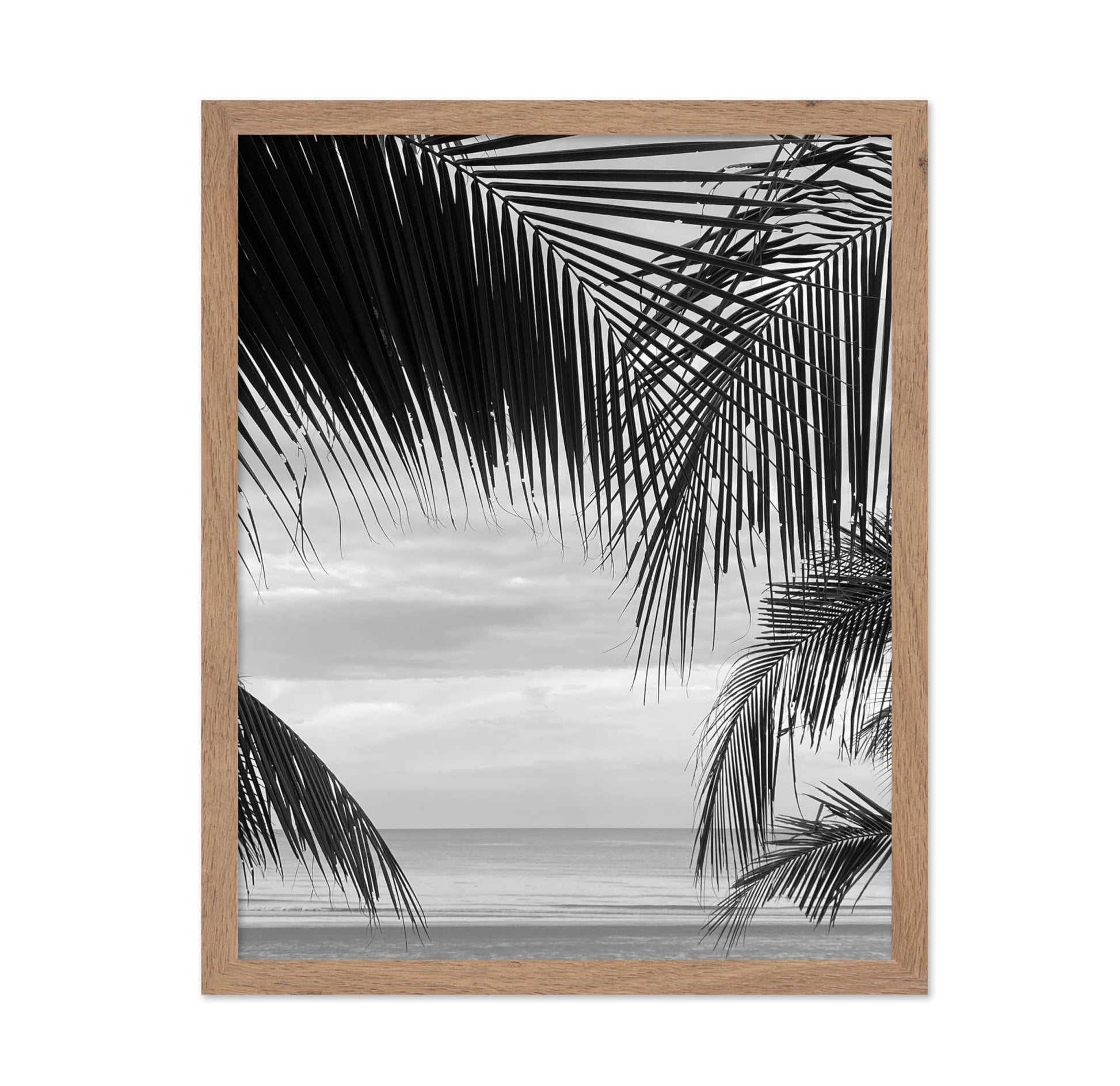 View Between Palm Leaves