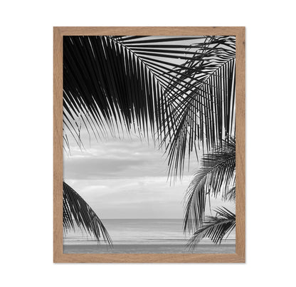 View Between Palm Leaves