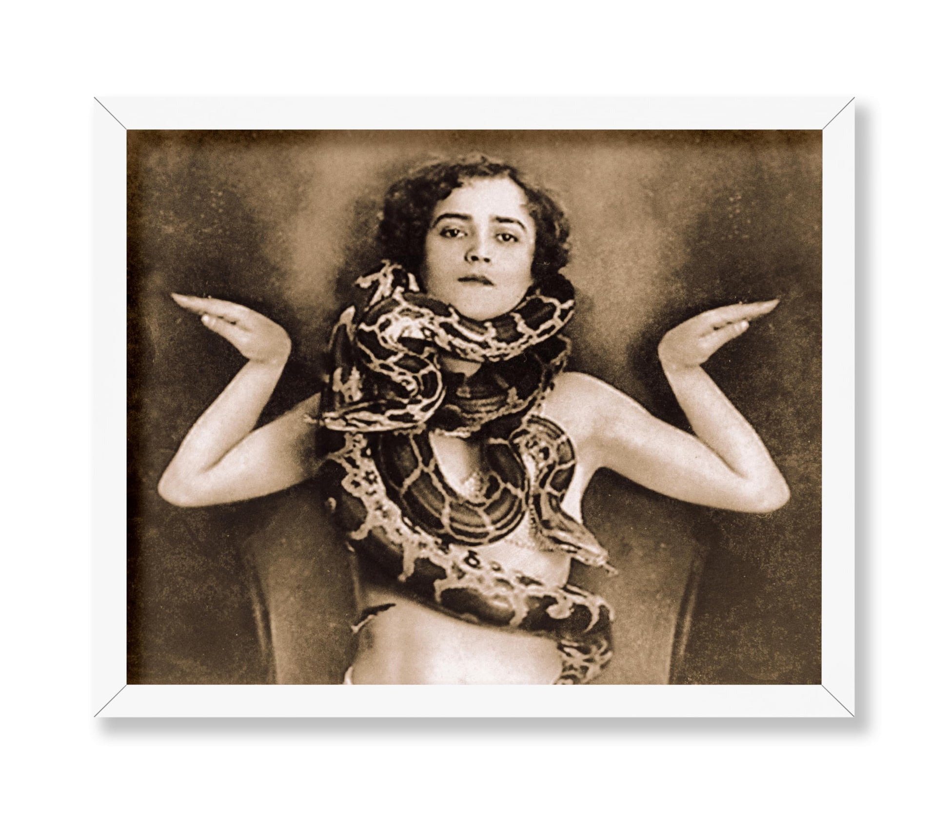 Snake Charmer