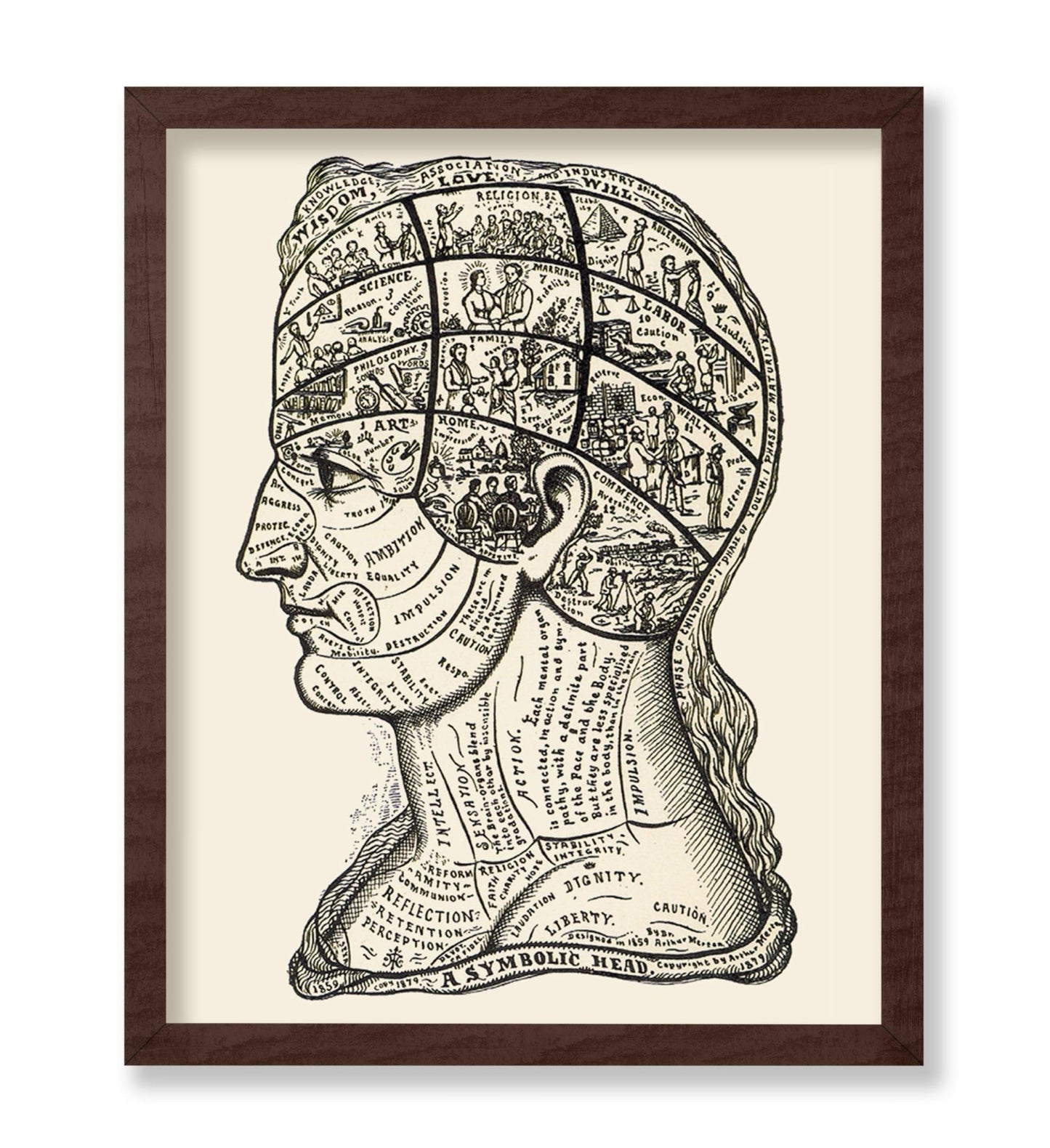 A Symbolic Head, Phrenology Diagram