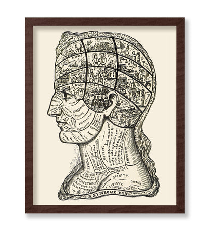 A Symbolic Head, Phrenology Diagram