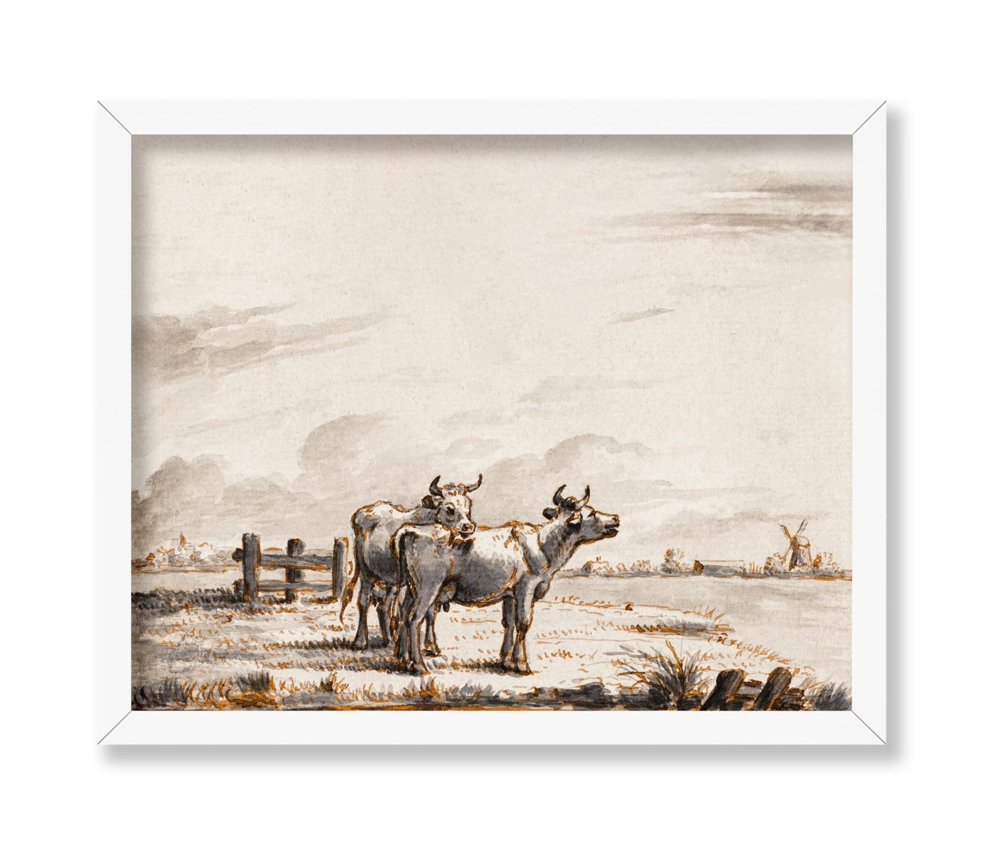 Two Cows in Pasture