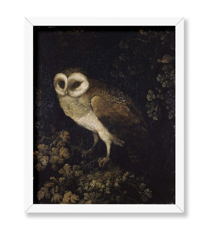 Moses Haughton - An Owl
