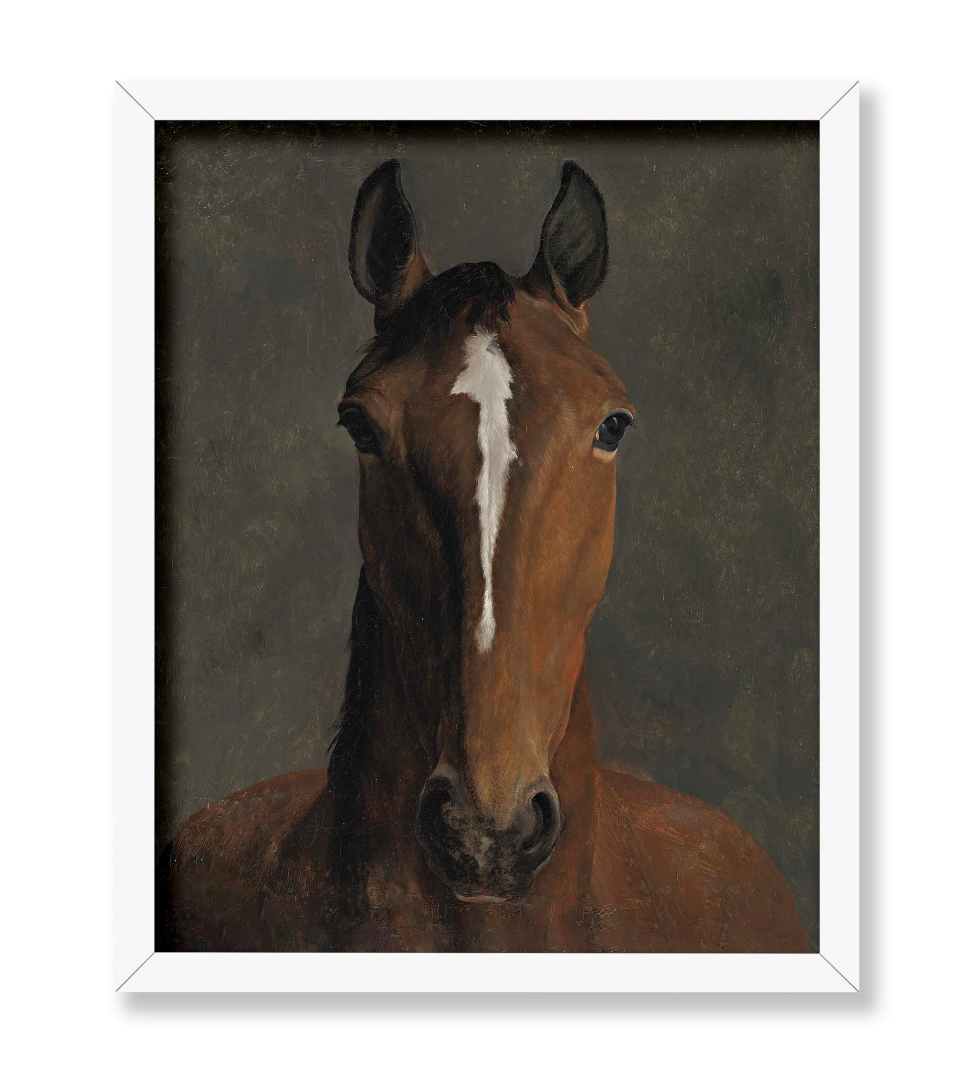 Jacques-Laurent Agasse - Horse Head