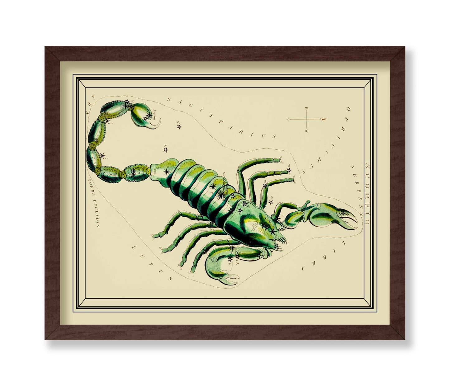 Urania's Mirror Scorpio