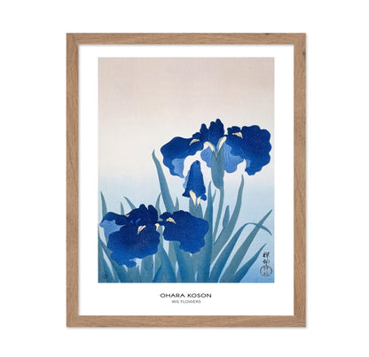Ohara Koson - Iris Flower