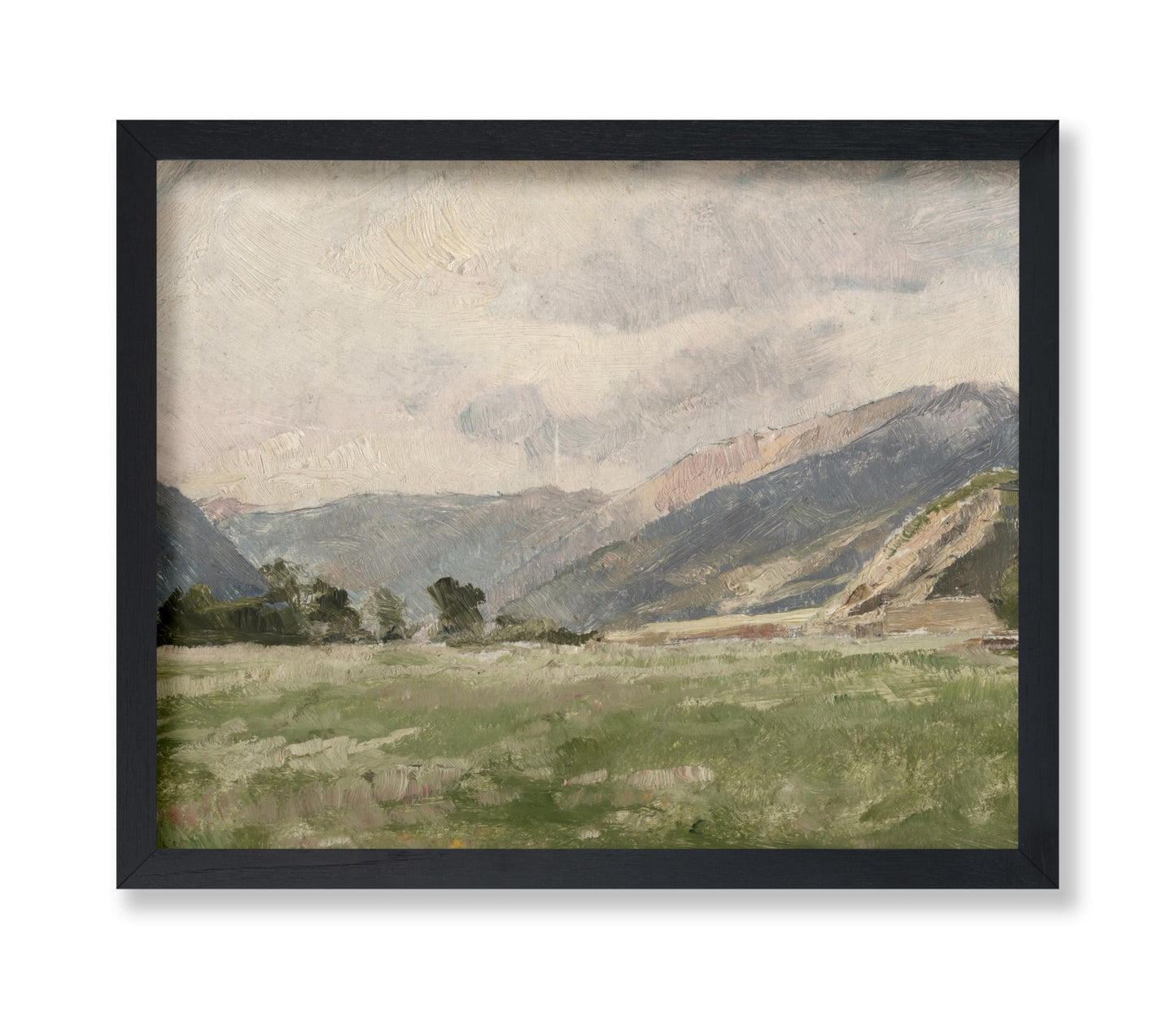 Mountain Meadow