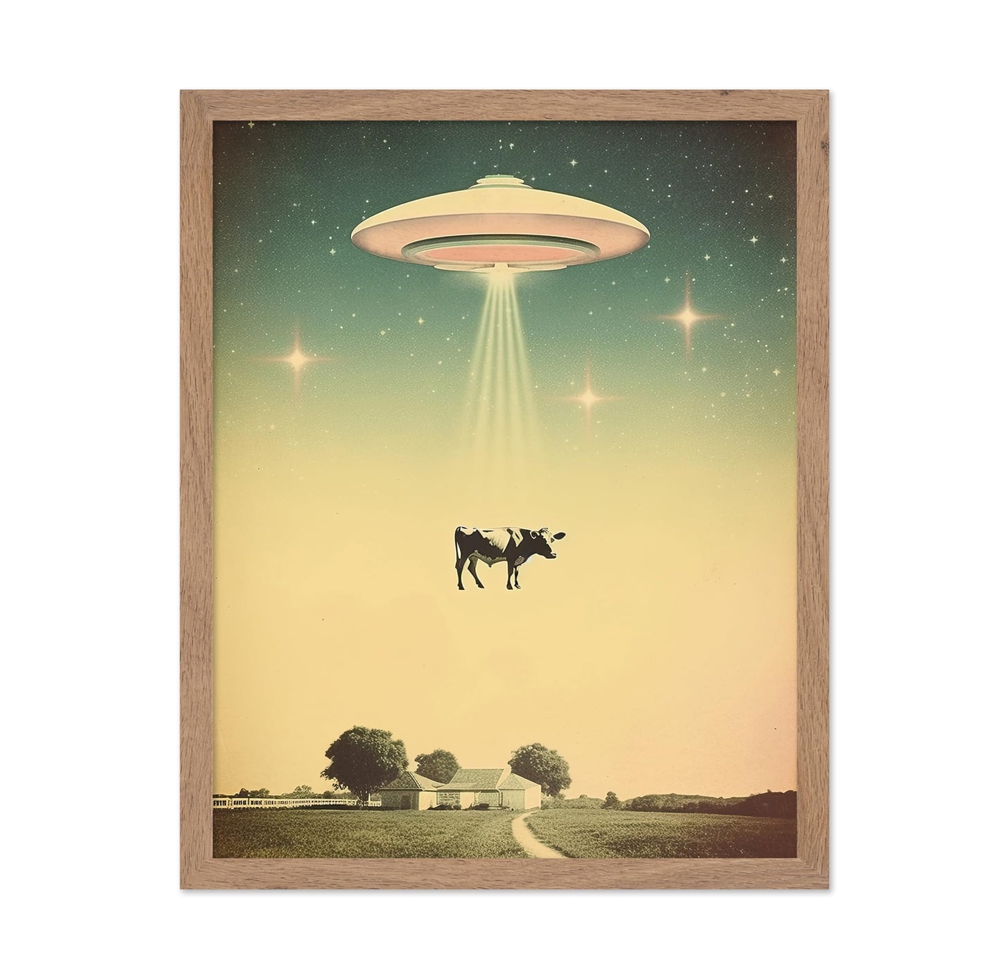 UFO Cow Abduction