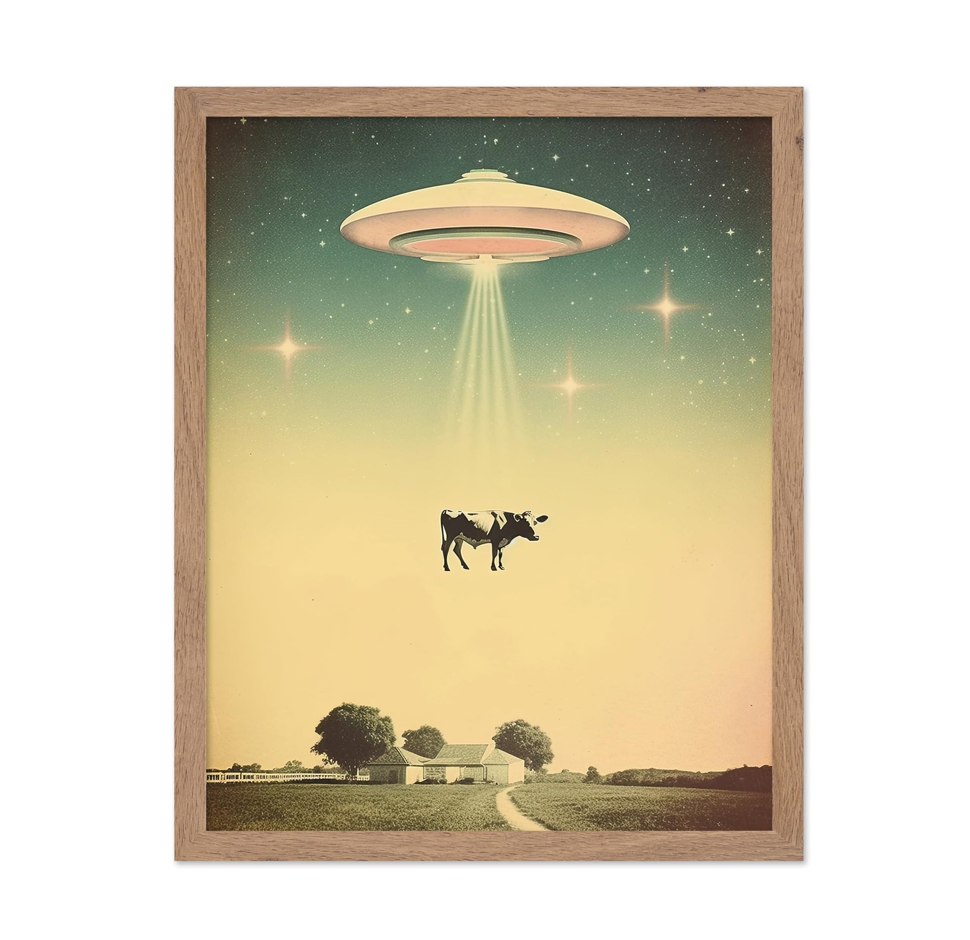 UFO Cow Abduction