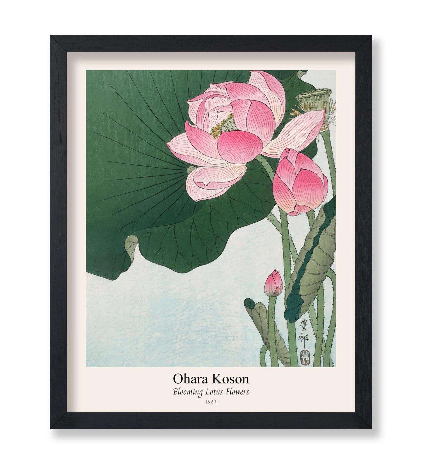 Ohara Koson - Blooming Lotus Flowers