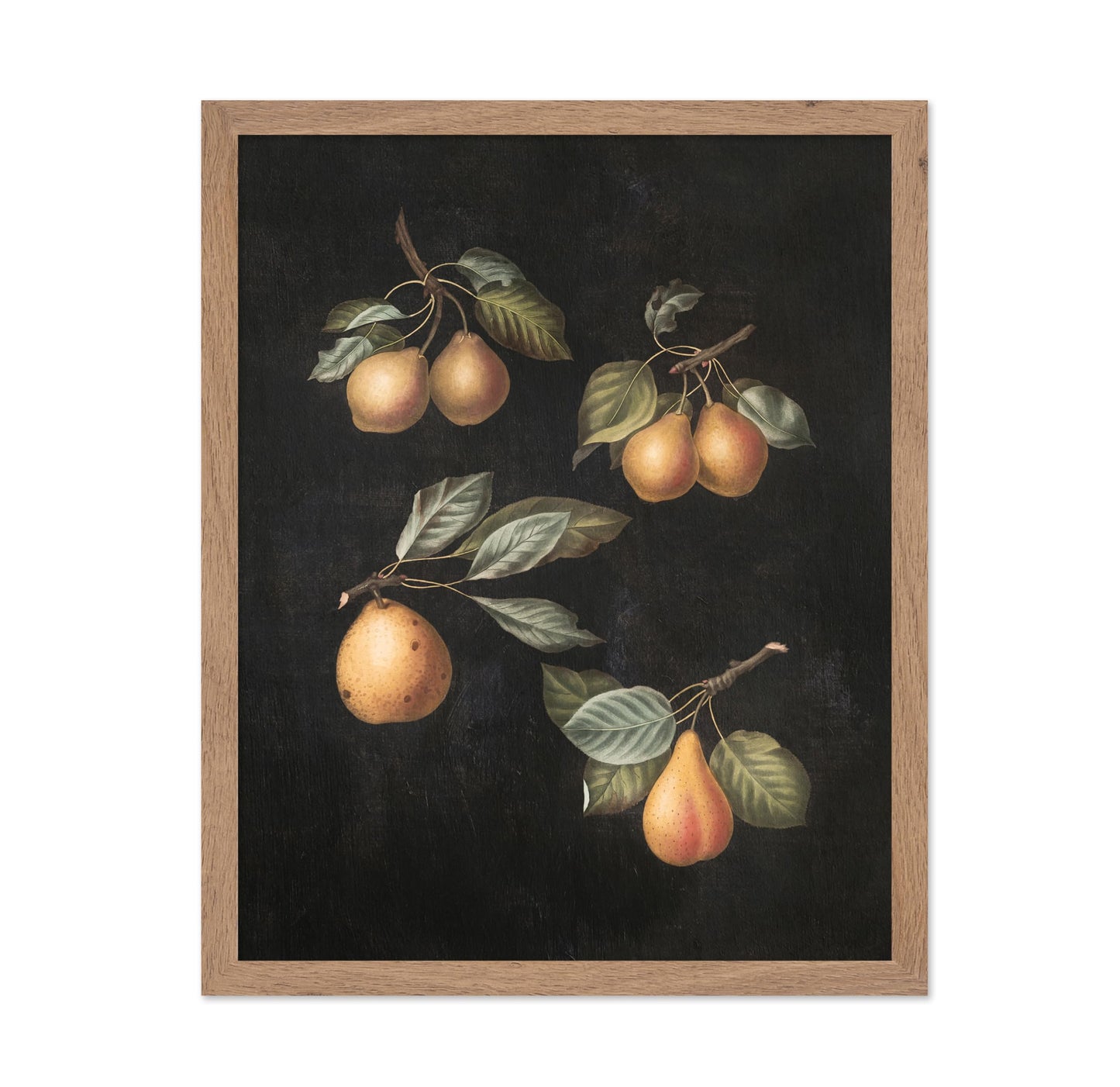 George Brookshaw - Pears