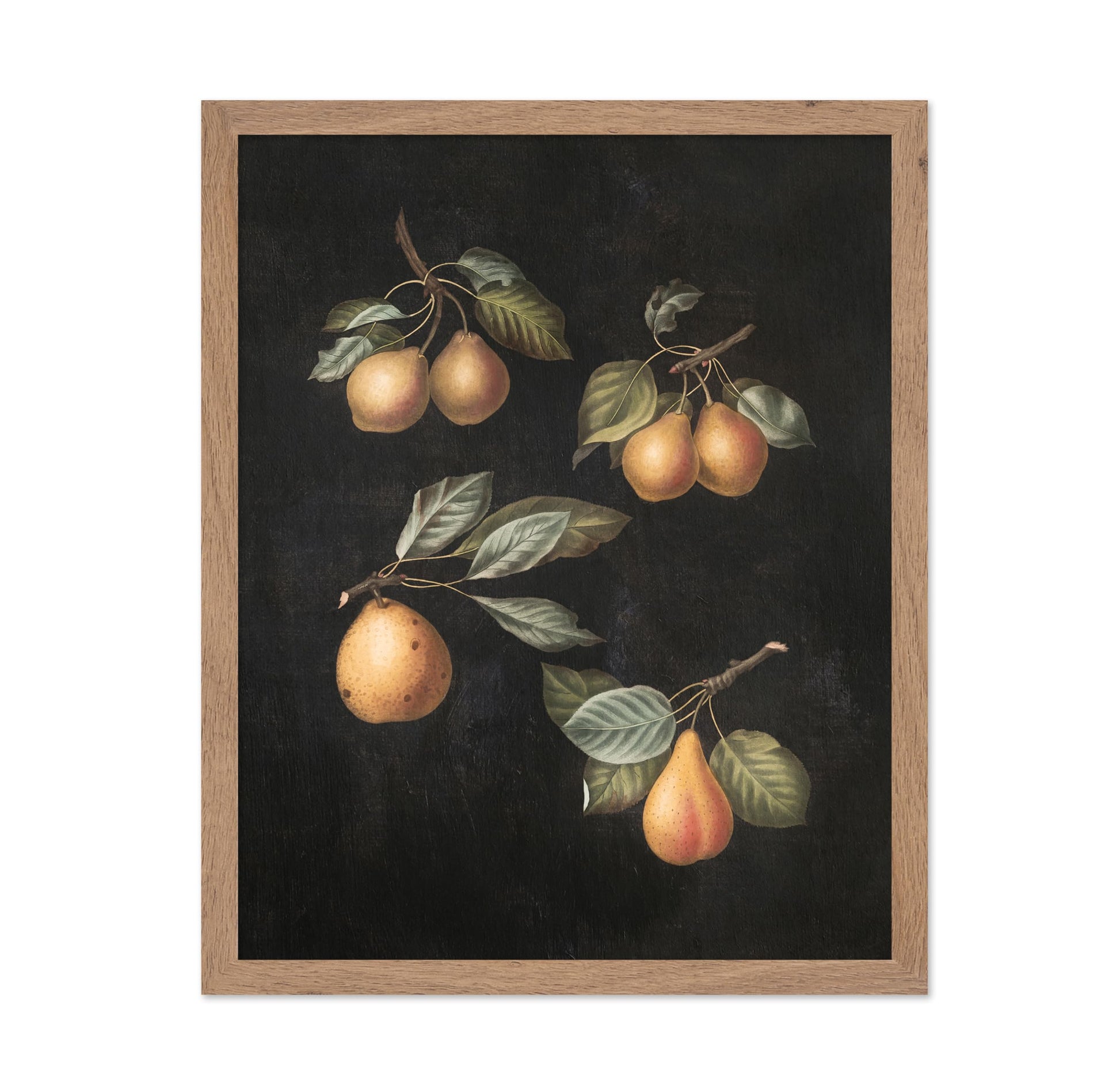 George Brookshaw - Pears