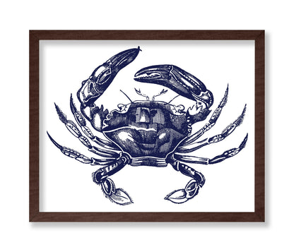 Navy Blue Crab