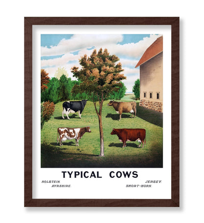Typical Cows