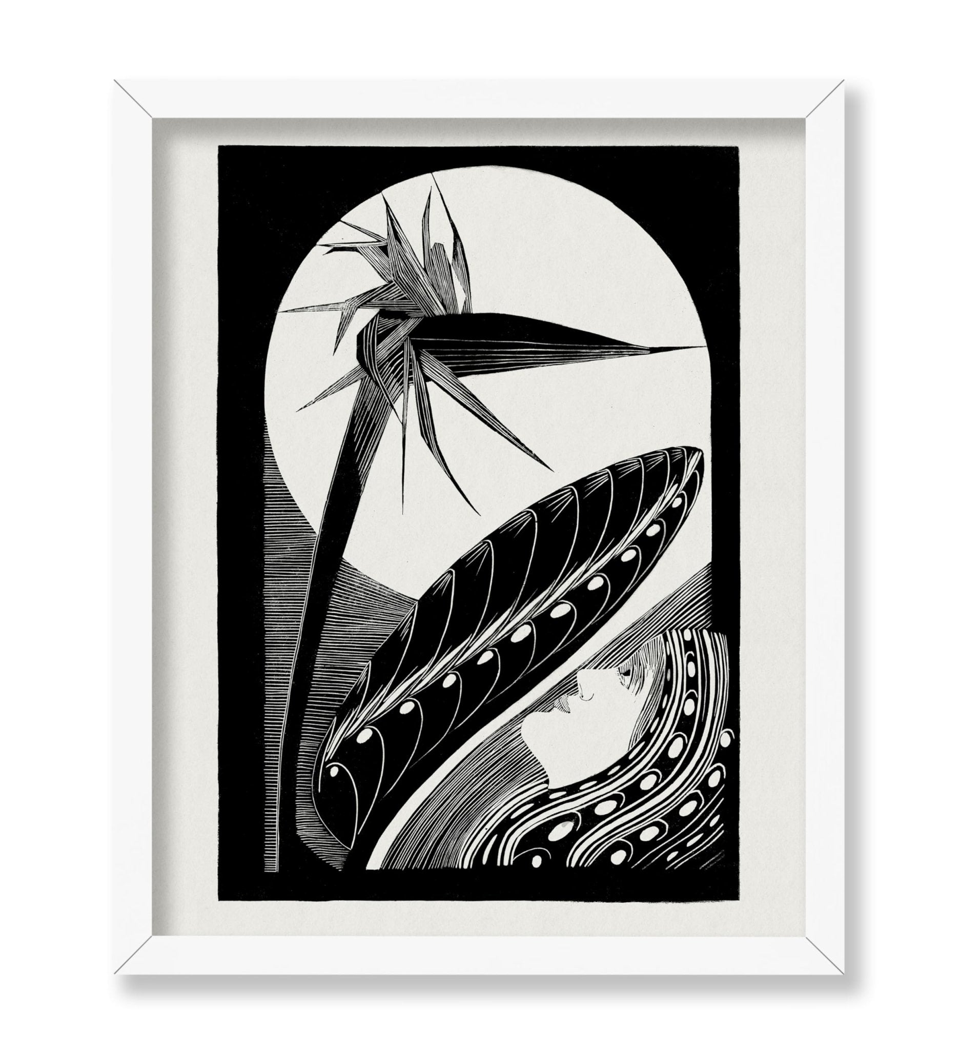 Strelitzia Overblown