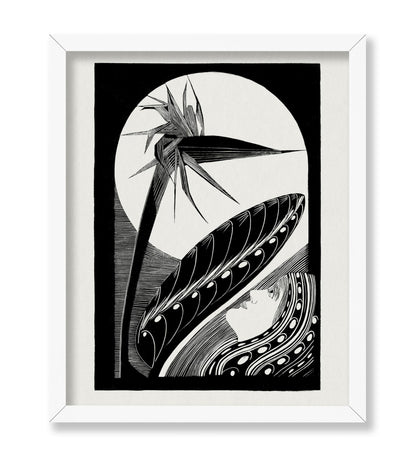 Strelitzia Overblown