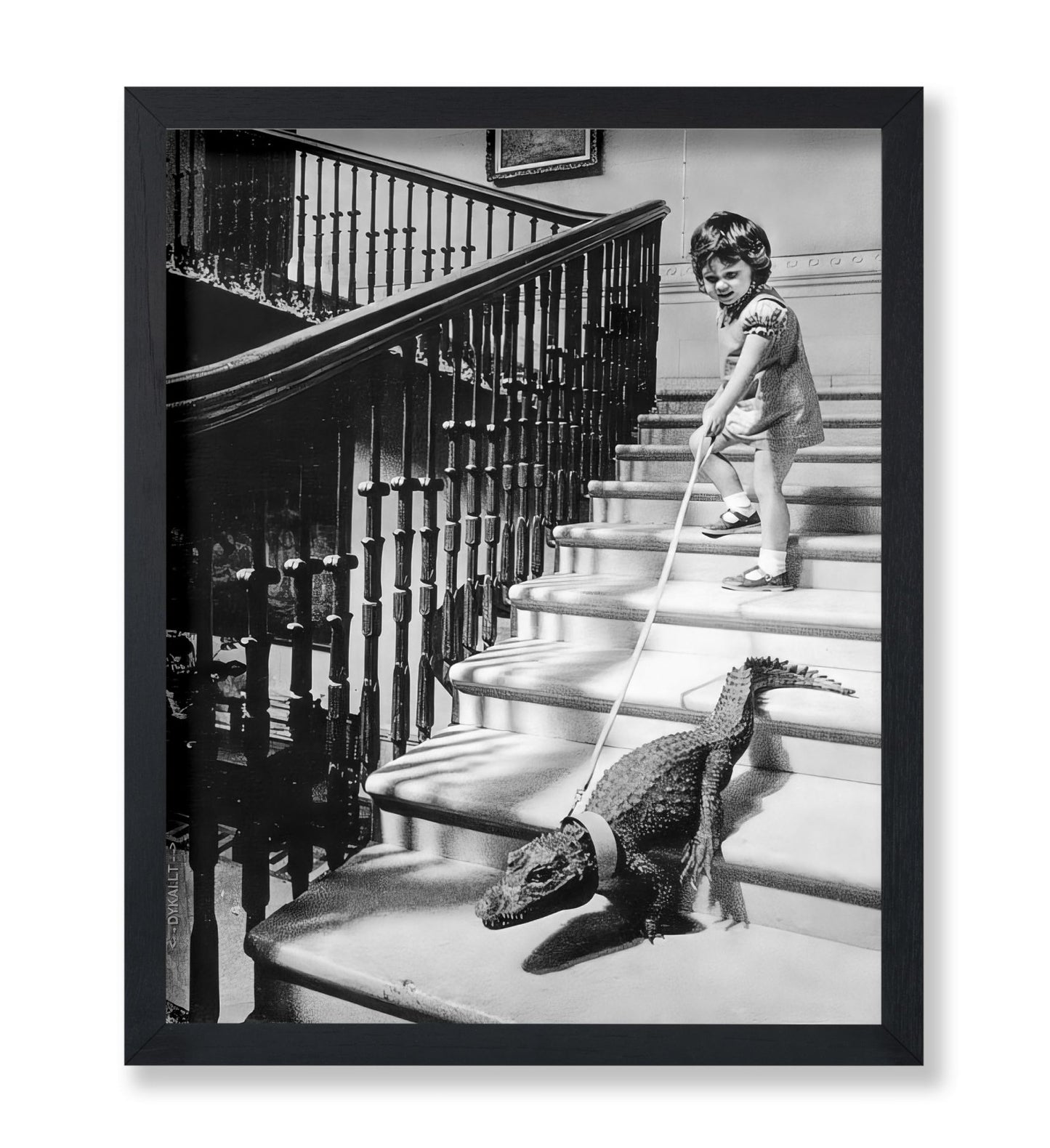 Little Girl and Alligator