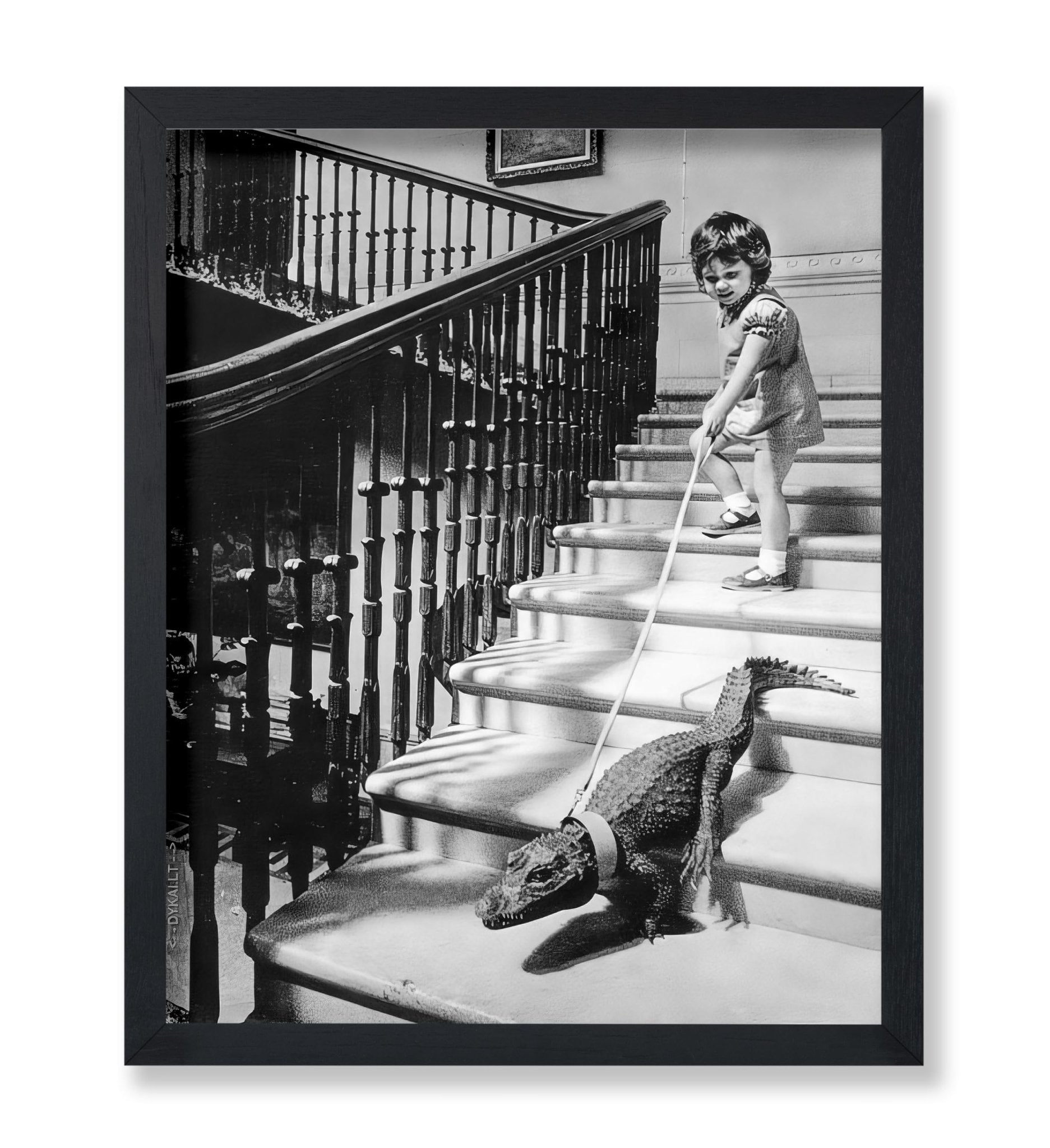 Little Girl and Alligator