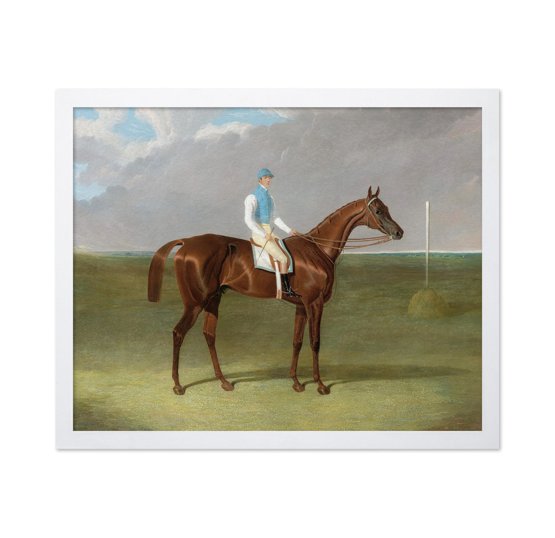Racehorse with Jockey No2
