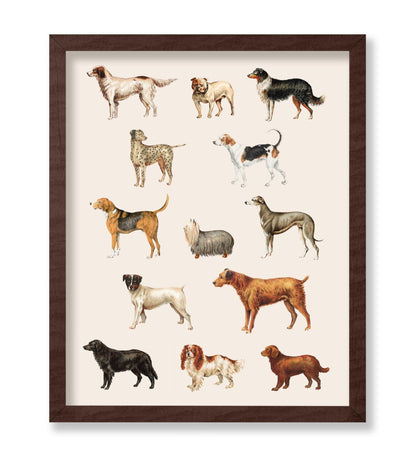 Dog Breeds