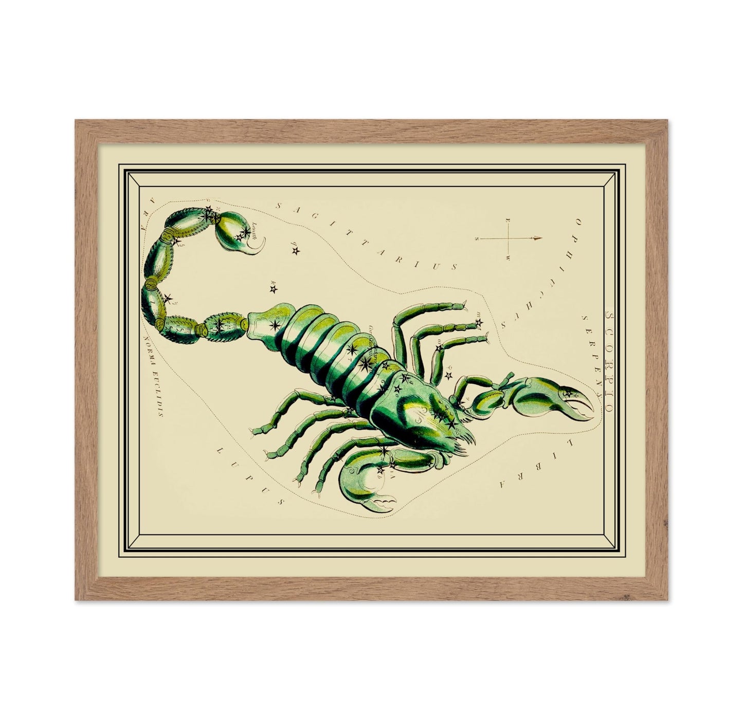 Urania's Mirror Scorpio