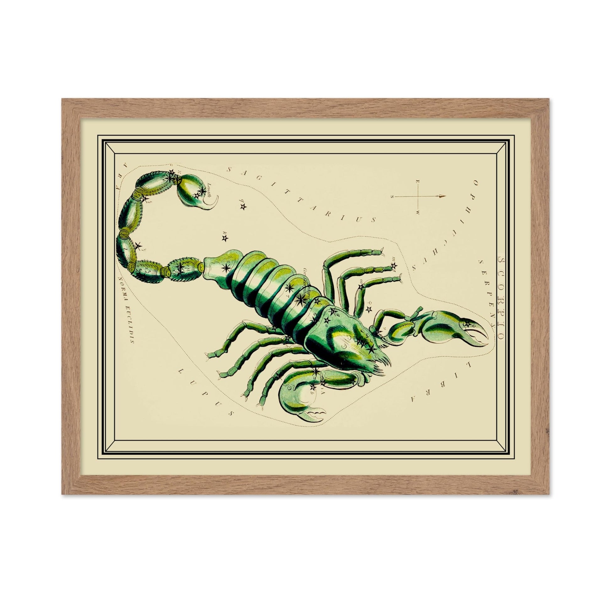Urania's Mirror Scorpio