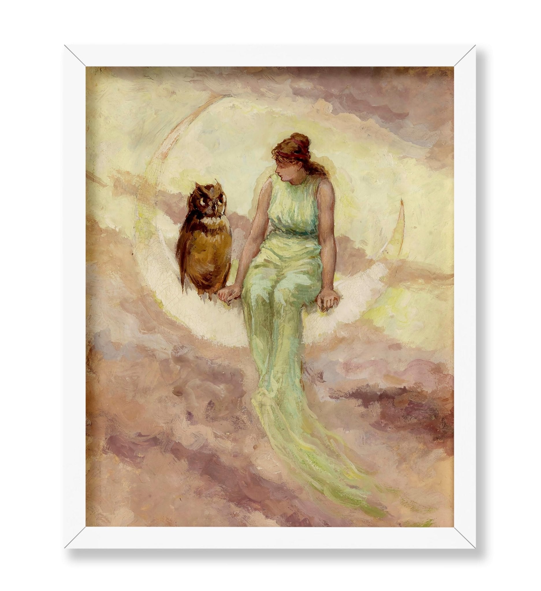 The Witch's Daughter