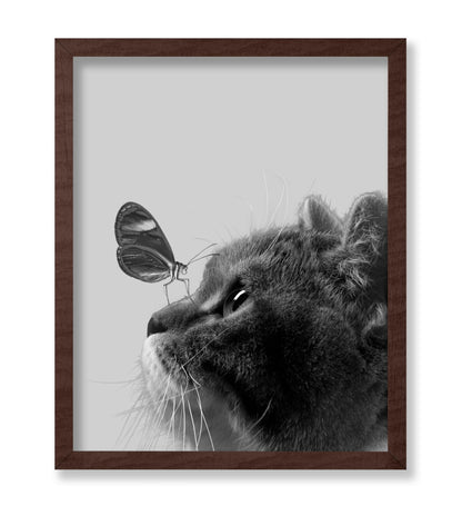 Butterfly on Cat