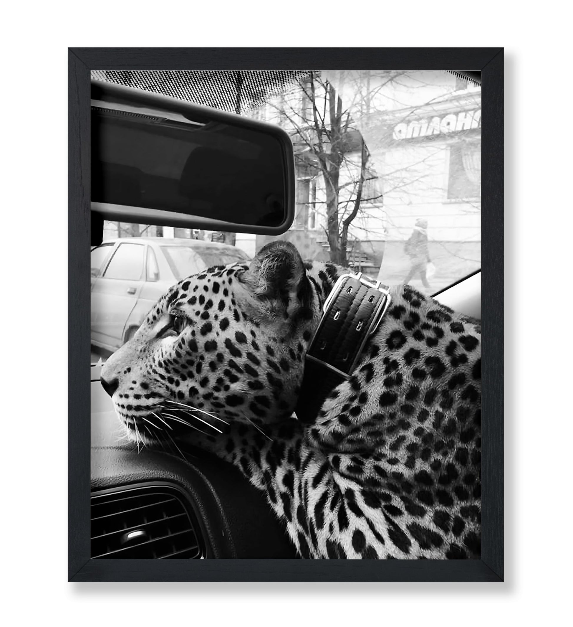 Cheetah in the Car