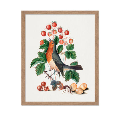 James Bolton - European Robin and Wild Strawberry