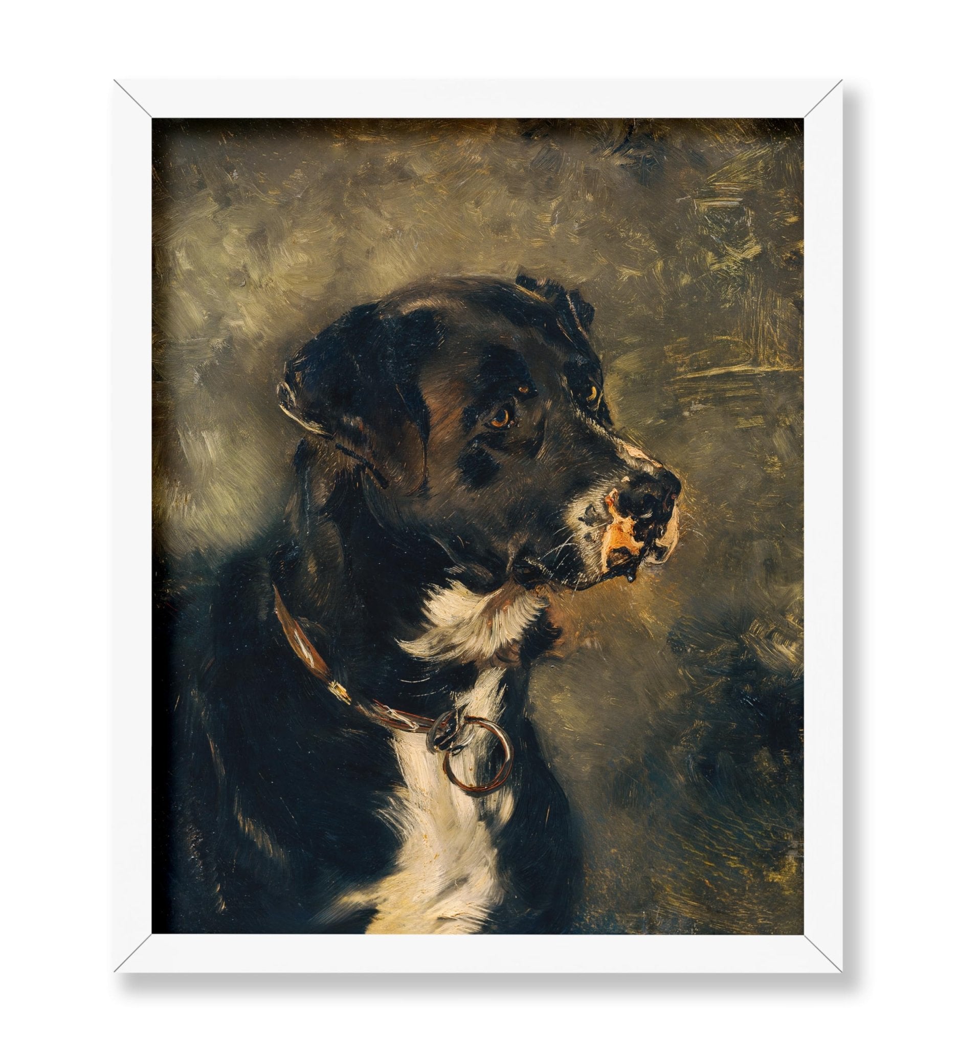 Head of A Butcher's Dog