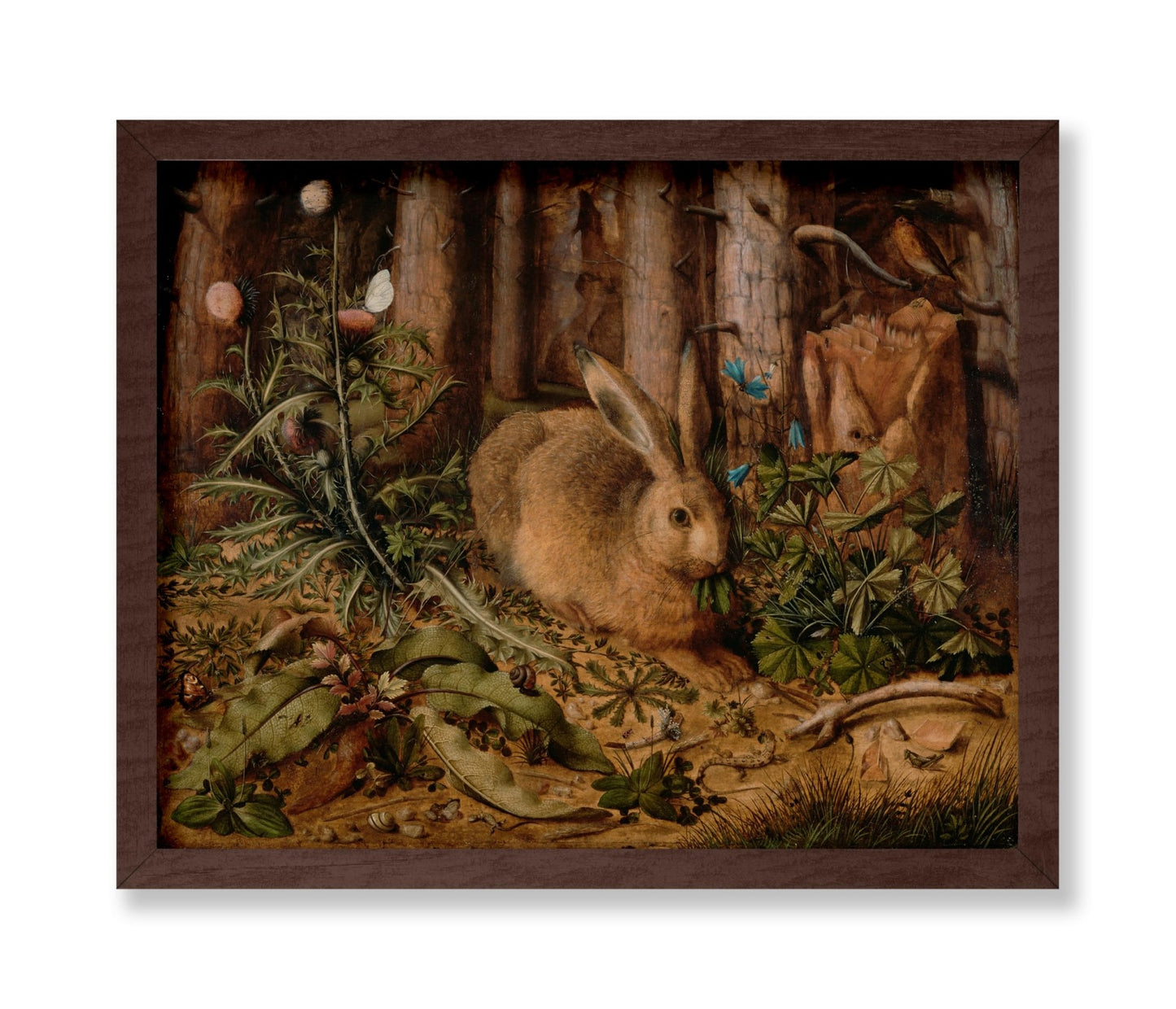 A Hare In The Forest