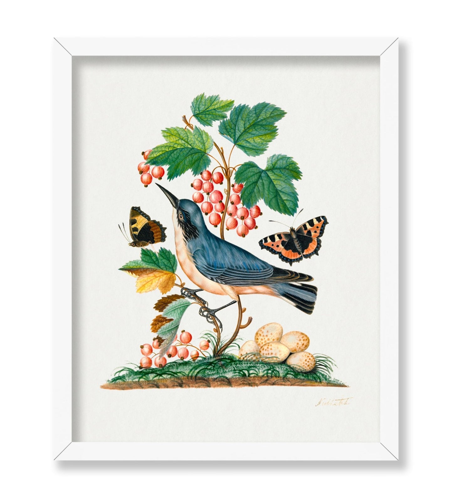 James Bolton - Red Admiral
