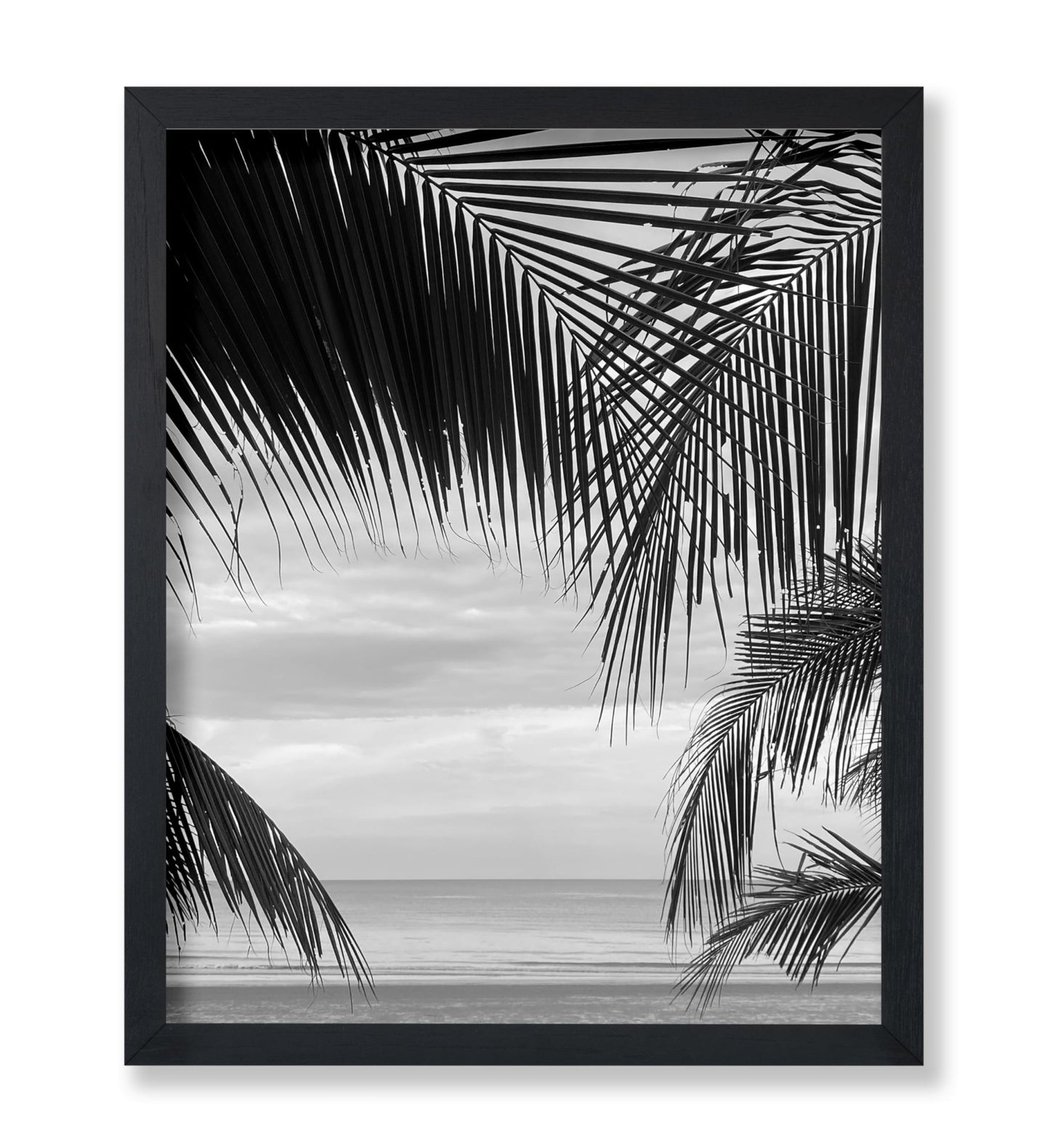 View Between Palm Leaves