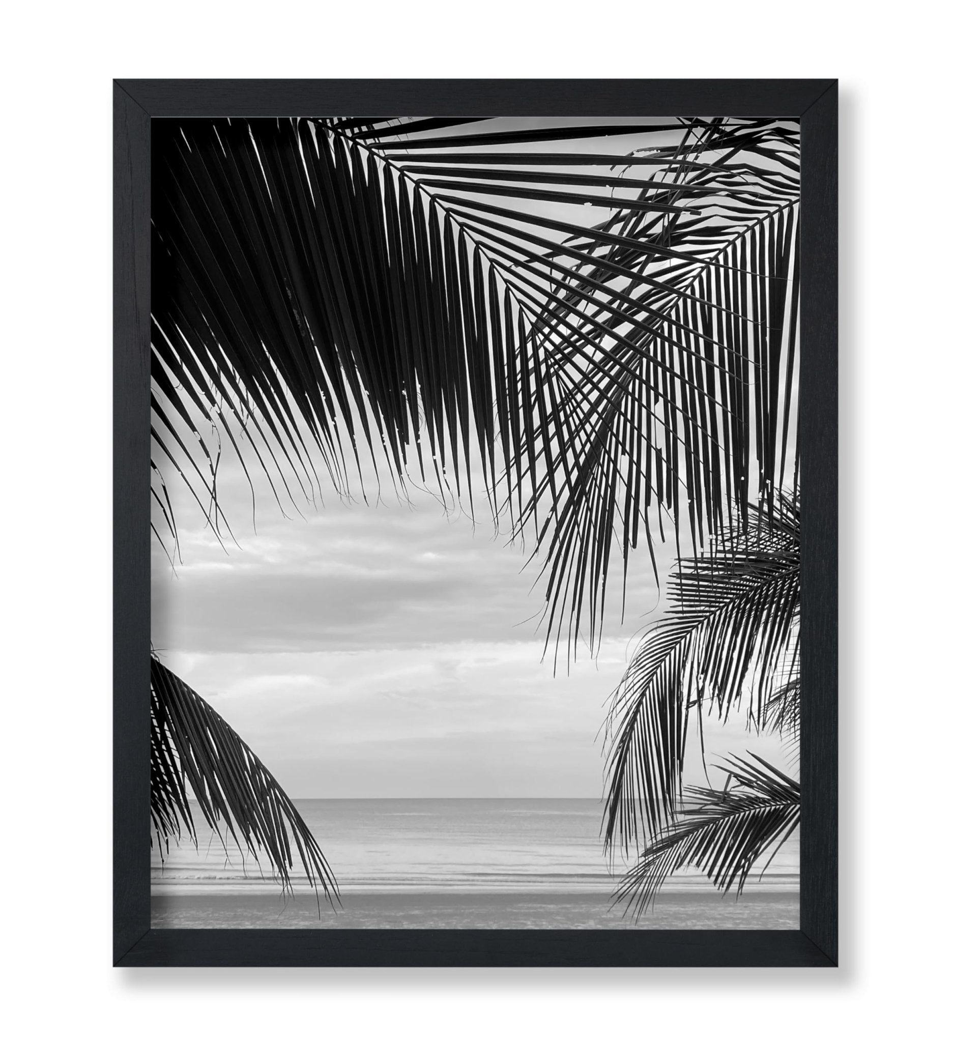 View Between Palm Leaves