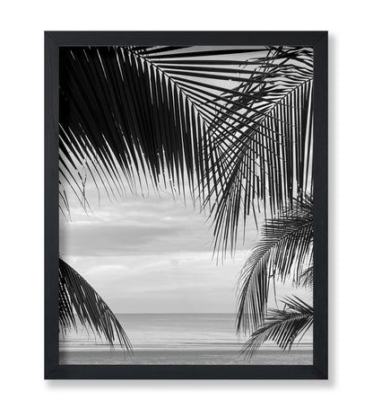 View Between Palm Leaves