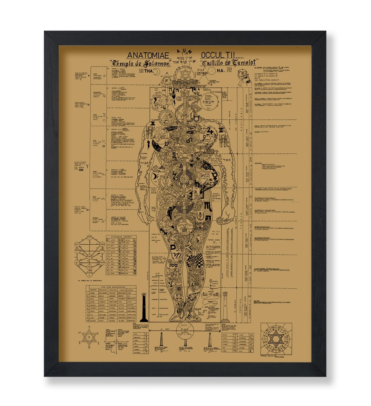 Occult Anatomy