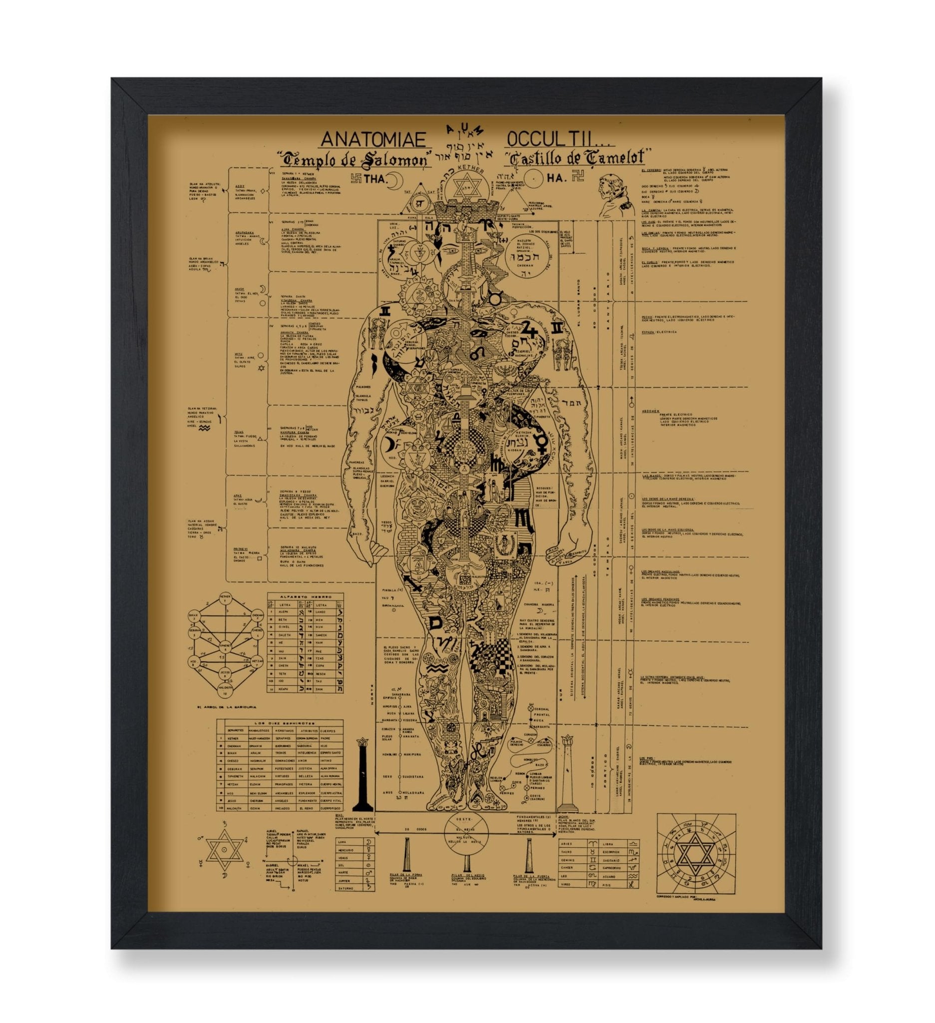 Occult Anatomy